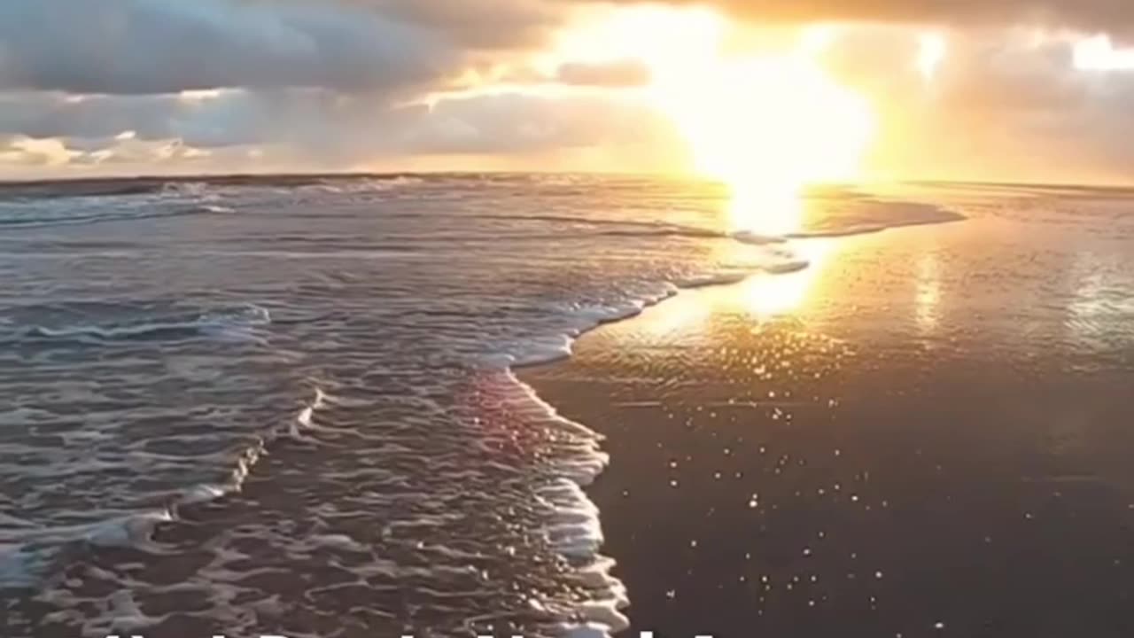 Arrogance and Misconception.