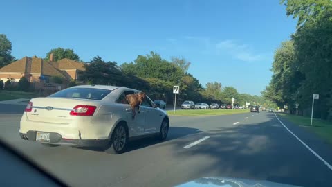 Live - Heading to DC