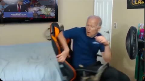 Biden attacked by a cat