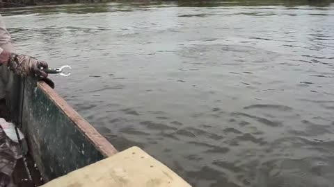 PESCA DE PICUDA VALLE DEL CAUCA EN COLOMBIA