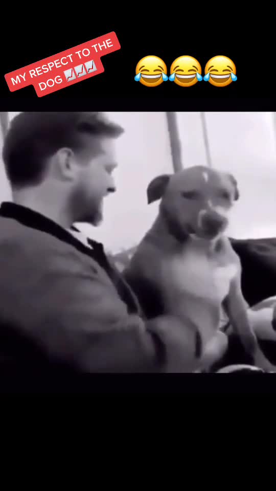 don't mess with who's quiet