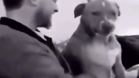 don't mess with who's quiet