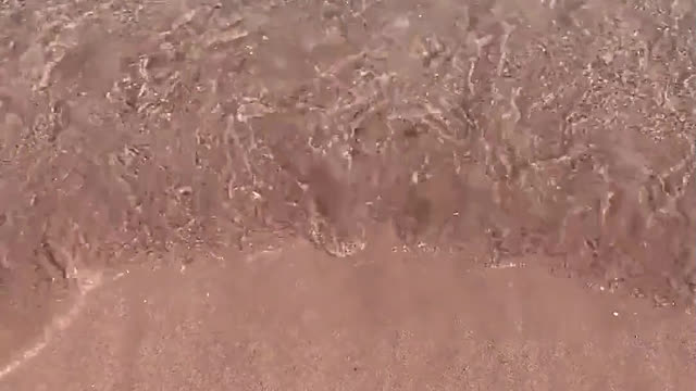The beach