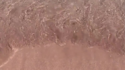 The beach