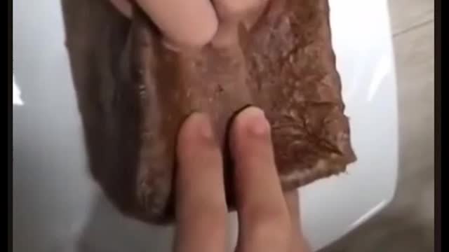 Comedy video, funny animals, memes, humor 😜🤣😸