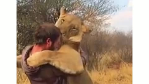 The Lion and the Man I Hug 🦁🙎‍♂️