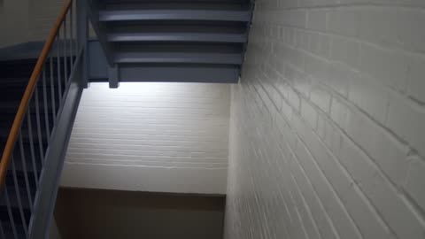 3869FHOB01Stair6_2021-01-06_13h00min01s137ms.mp4
