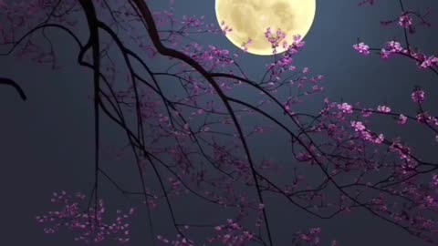 Beauty of moon