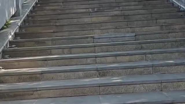 Go up the steps, what do you see?