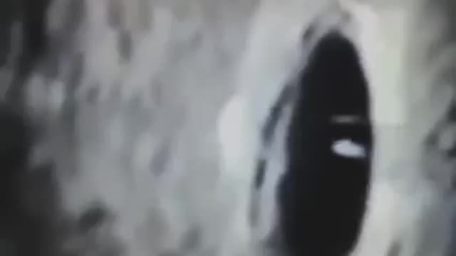 Um portal?