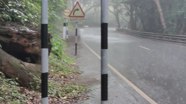 Best Rain video ever seen