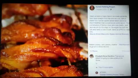 HUMAN FOOD IN RESTAURANT?