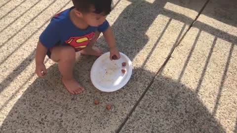 Judah and Dog toddlers playing and feeding dog. Children interact with dog. Summer fun.