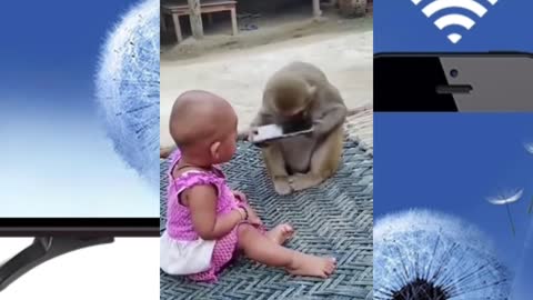 Baby and mankey fight for phone very fanniy video