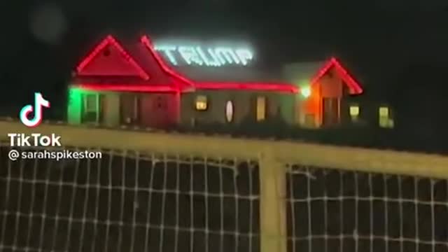 Trump Christmas Lights