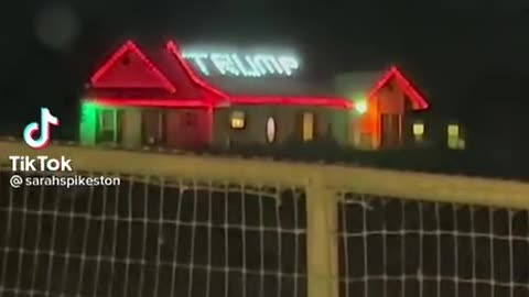 Trump Christmas Lights