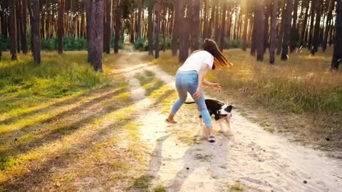 Funny dogs vedio.funny animals vedio
