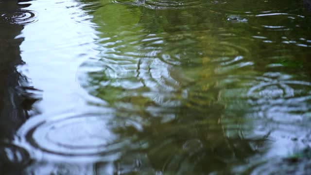 Rain Fall