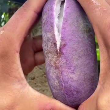 funny|prank|jokes|funny jokes|dad jokes|funny memes|funny video|fun|laughing|funny animal|knock