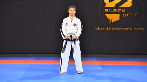 Taekwondo pattern