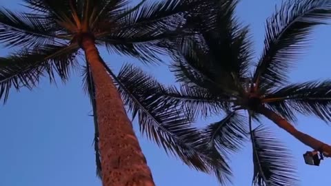 M o o n G e m - Sunset, wine and friends