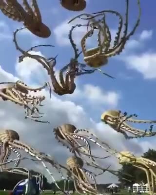 Flying Octopus 🐙🦑🐙🐙