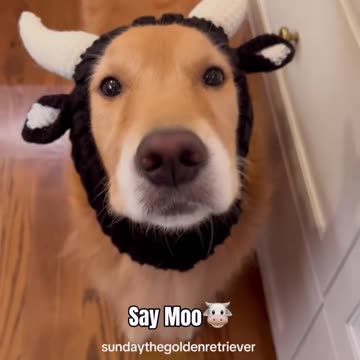 Funny moments #76 😂