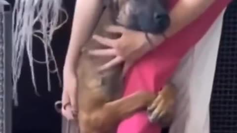 Dog's heartwarming reaction to being rescued..🐕🐾🥺