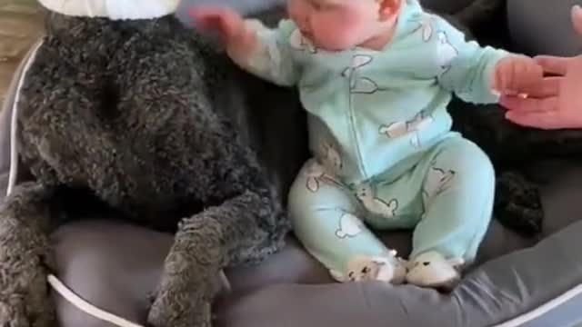 Dog Doesn't Like Easter outfit As Much As Infant| Cute baby