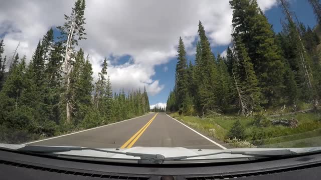Moose encounter in Rocky Mountain National Park