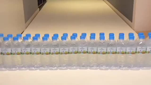 super challenge for the cute dog