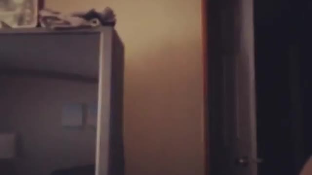 Cat jumps from tv to cough fail