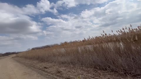 Headed into Banner Marsh - March 2024