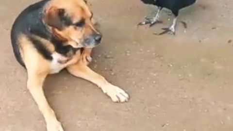 the hunger is great