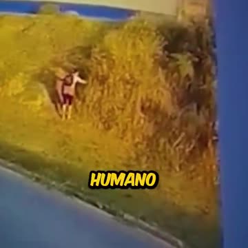 Criminosos de esquerda colocando fogo: Chegou o apocalipse