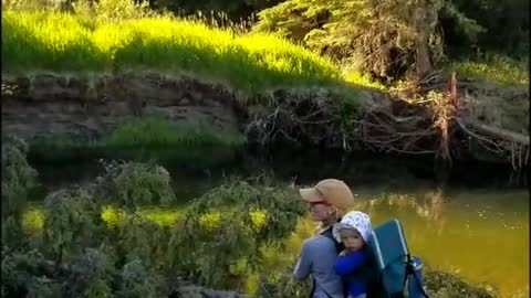 Group of Wolves Howling While Fishing