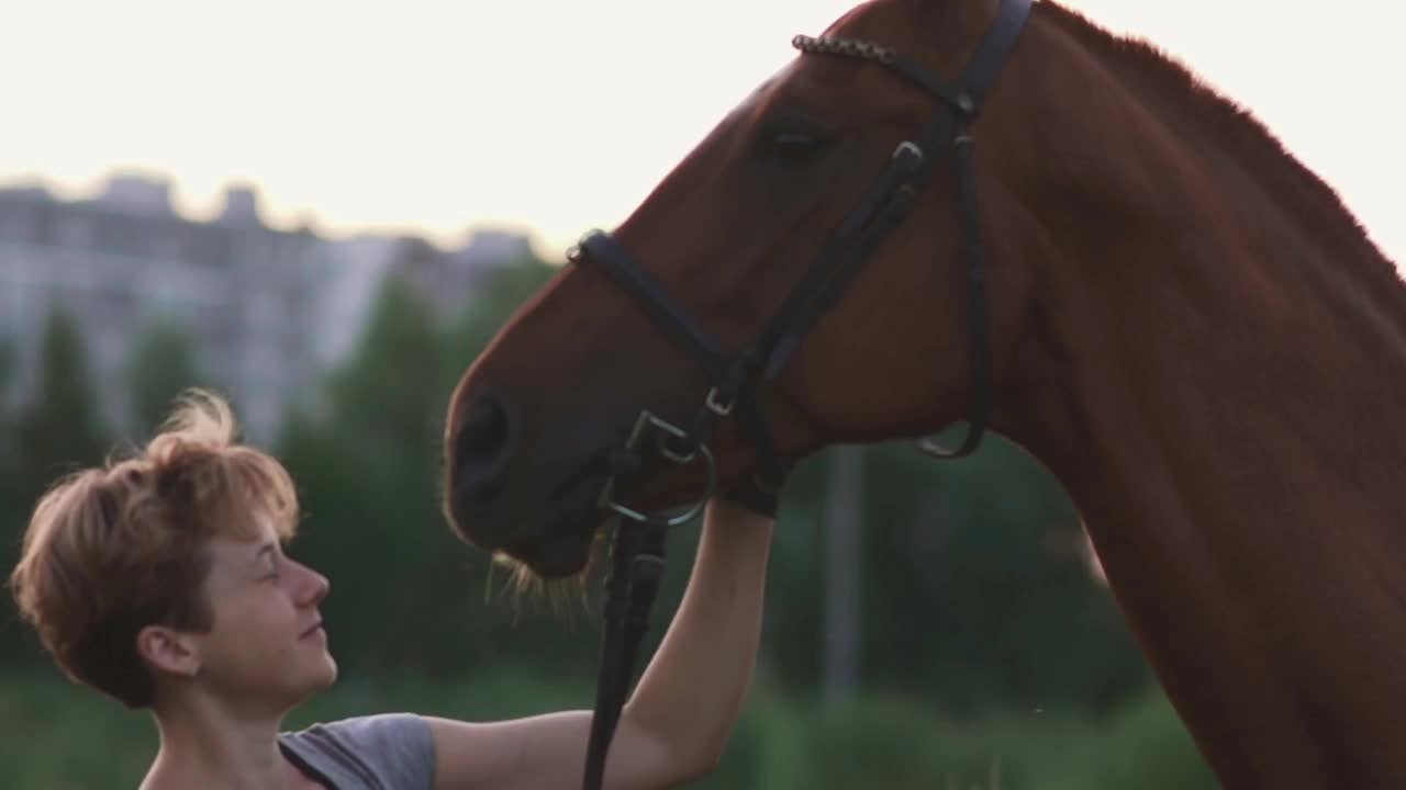 Girl is stroking the horse