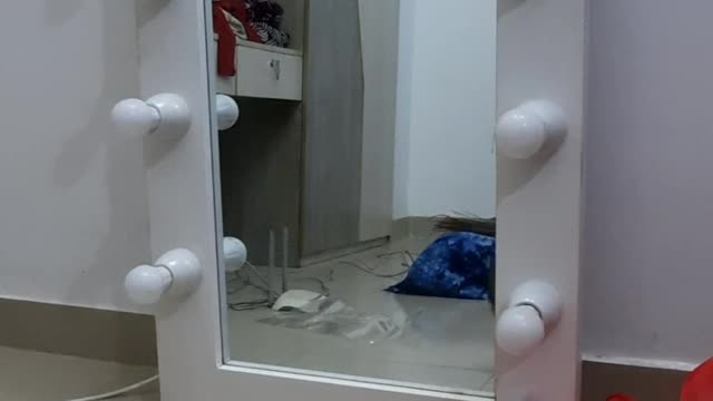 Cat Excited to See Reflection in Mirror