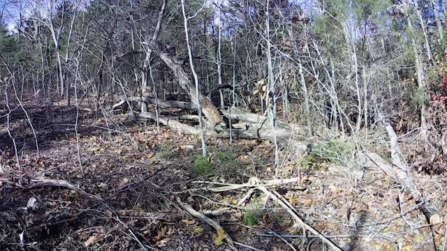 Help from friends always welcome! Powerline path really taking shape.