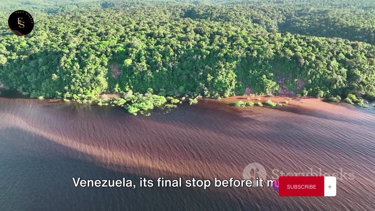 Amazon River: The Lifeline of the South America