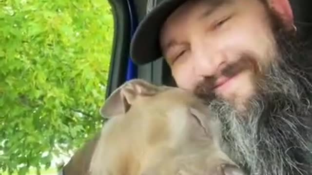 WARNING! This PITBULL will MELT your HEART 😍 Viral Media Vibes