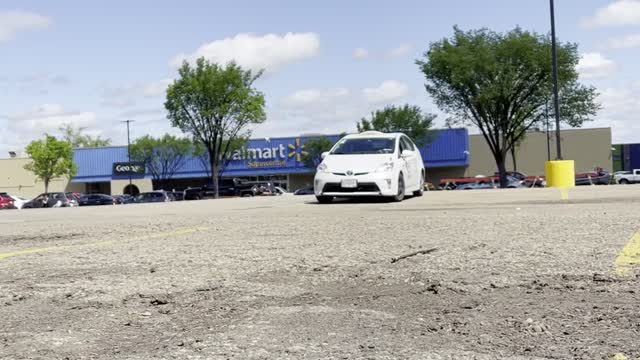 Seagulls & a crow in competition on piece of meat