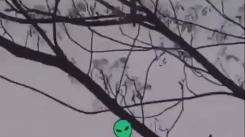 ufo strange