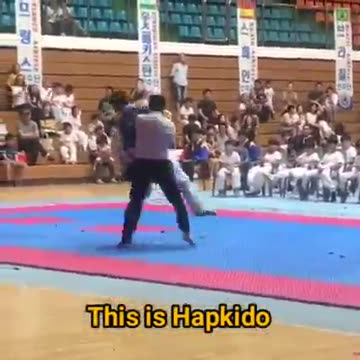 Hapkido