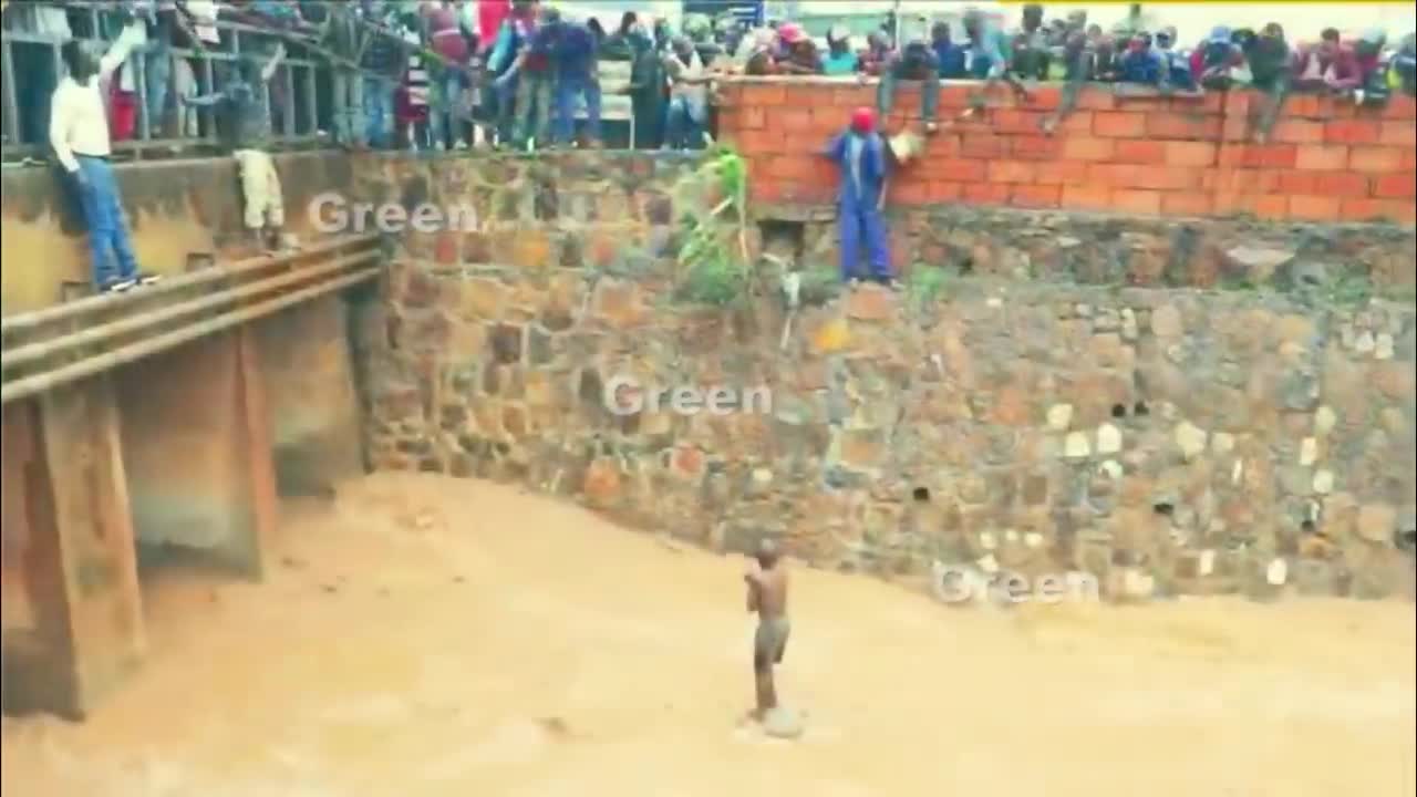 Cutest video/ viral video/