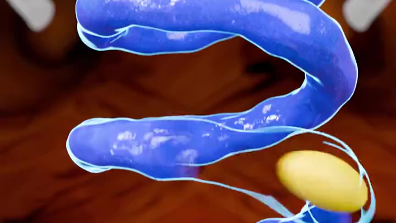 How an egg is made [🎞️ Zack D. Films]