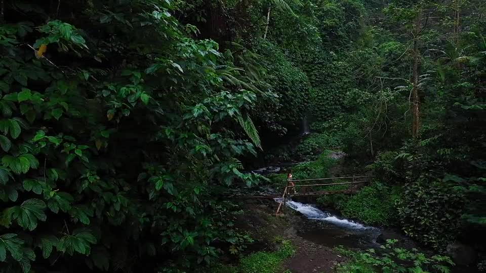 Drone Footage of a Person Walking in a Wooden Bridge