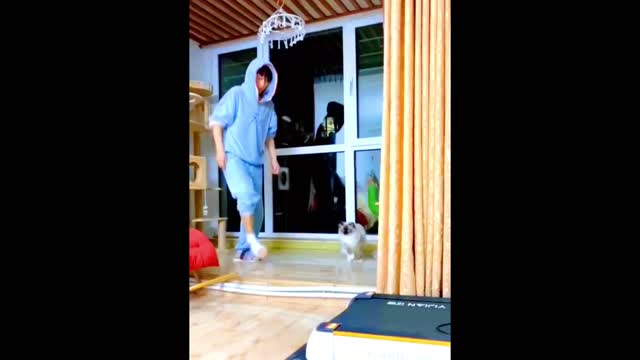 Funniest Cats and Dogs 🐱🐶 Part 14