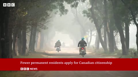 Canada sees drop in citizen applications from permanent residents