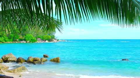 🌊 Ocean Bliss 🐦 ASMR Sleep: Soothing Waves and Shorebird Sounds for Relaxation and Deep Sleep 😴